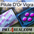 Vigra Gold Pill 37